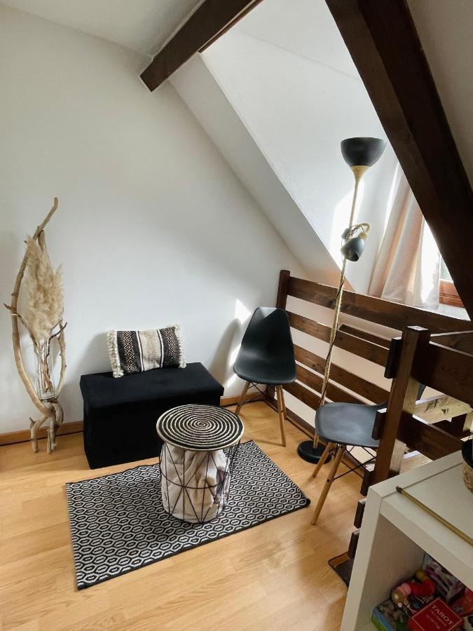 Duplex Du Pailhet, T3 Neuf, Vue Montagne, Parking, Navette Et 2 Velos A Disposition Gratuitement Bagnères-de-Luchon Buitenkant foto